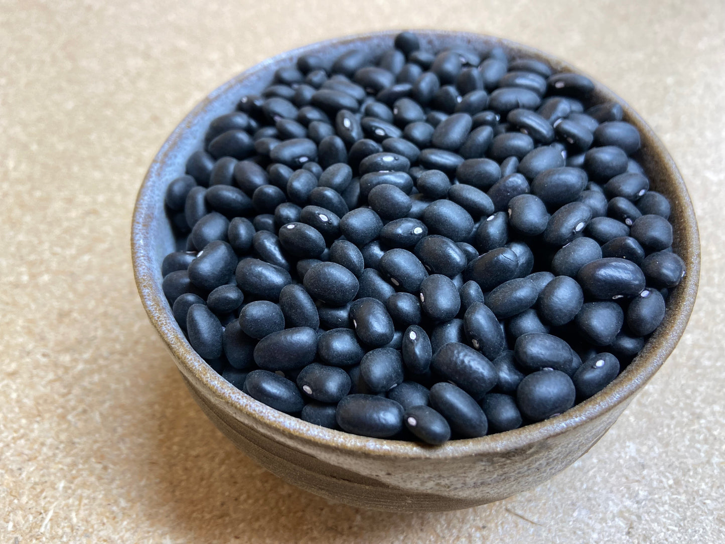Blacktail Bean
