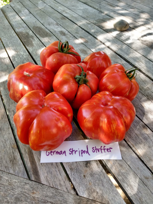 German Striped Stuffer Tomato